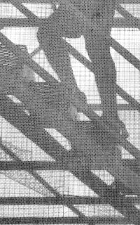 Labour and Social Security Law